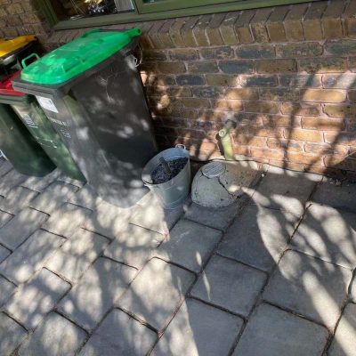 After Cardboard Removals 