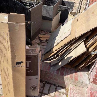 Before Cardboard Removals