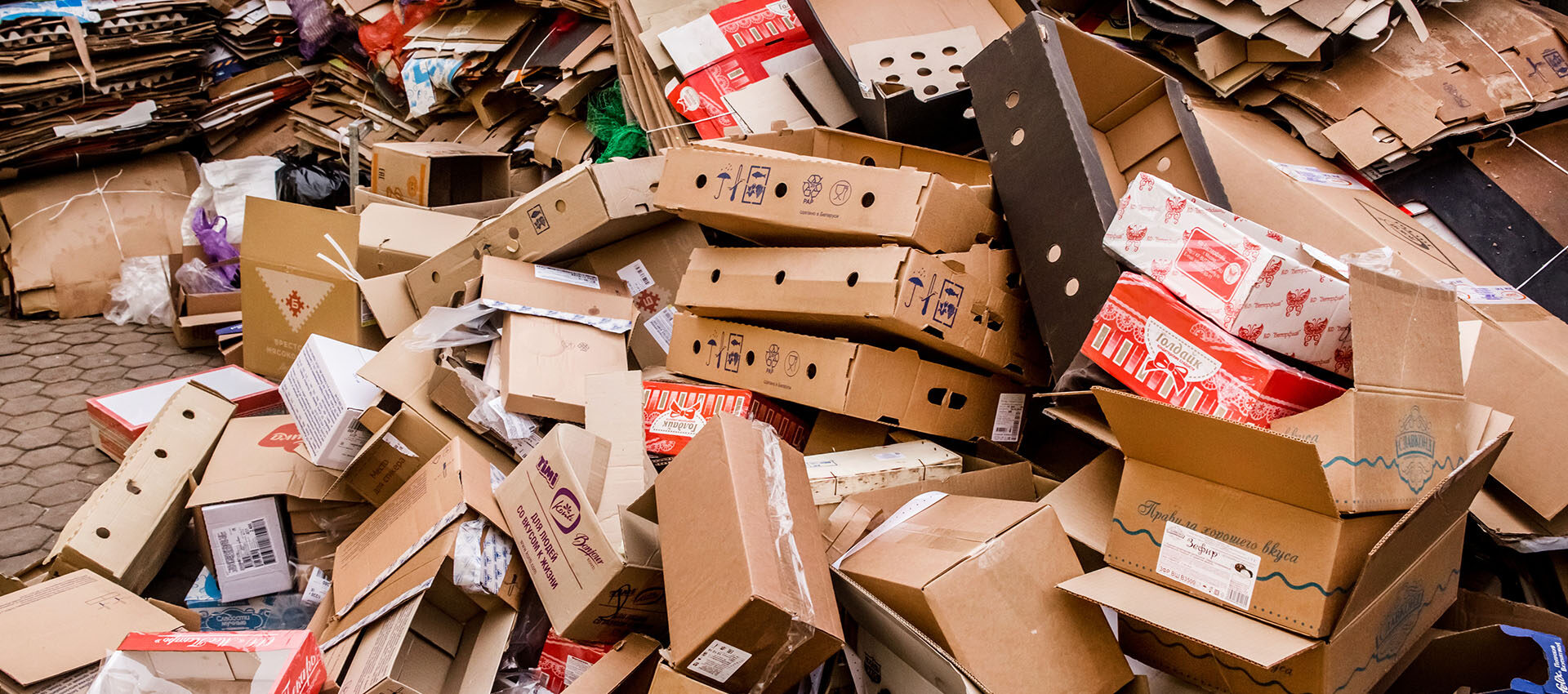 Cardboard Removals