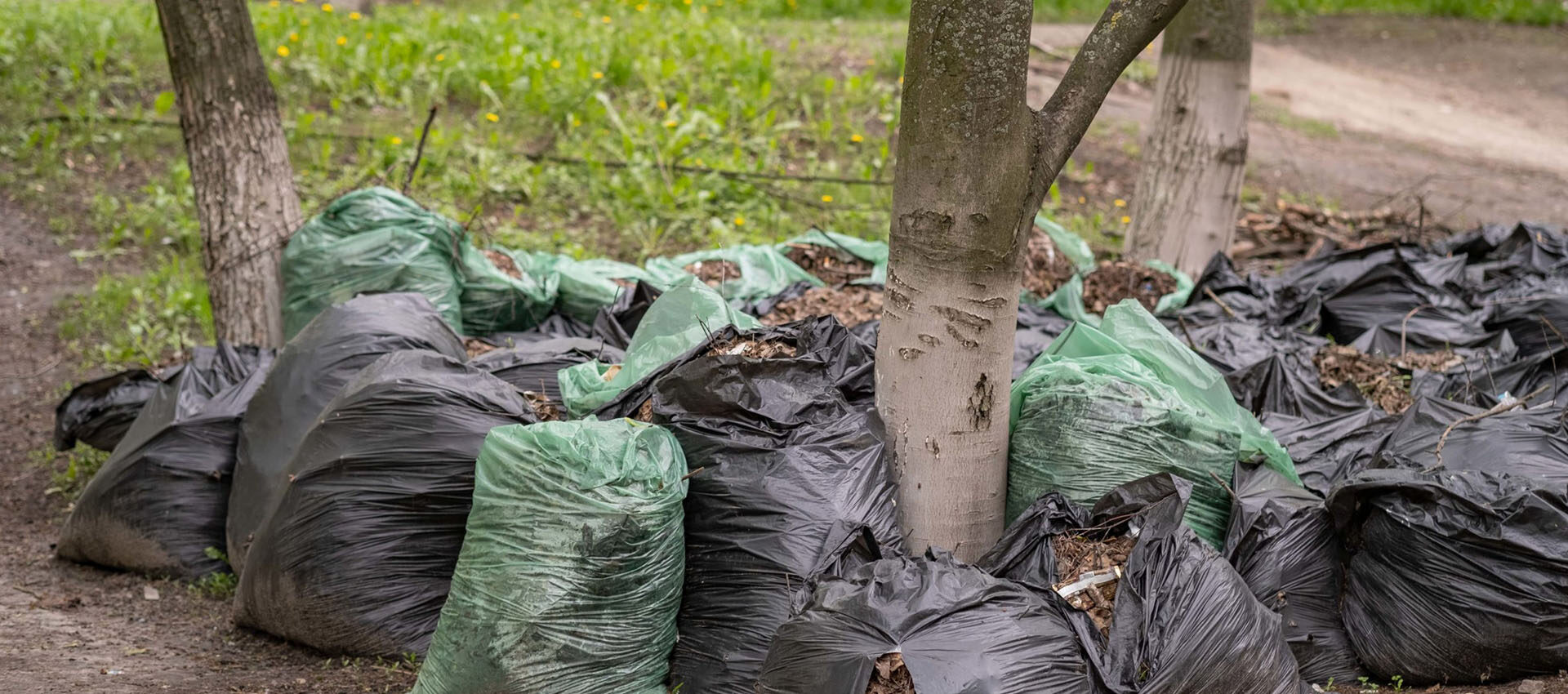 How to Dispose of Garden Waste Responsibly