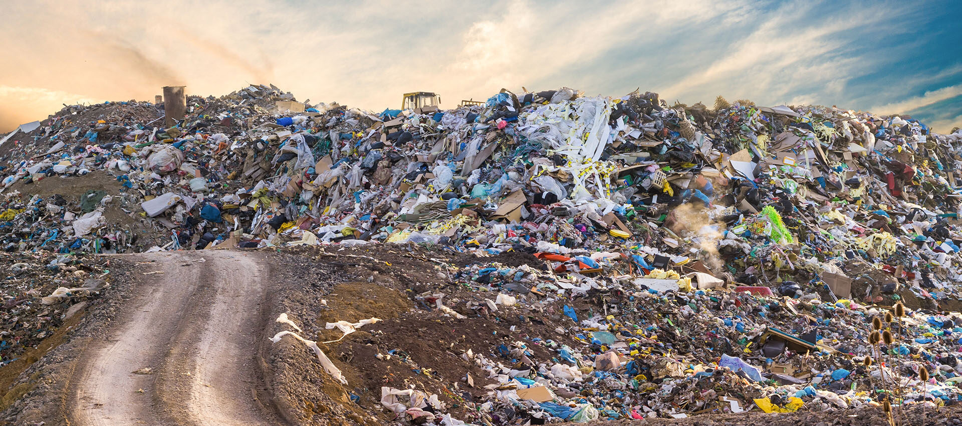 The Environmental Impact of Improper Waste Disposal (And How to Avoid It)
