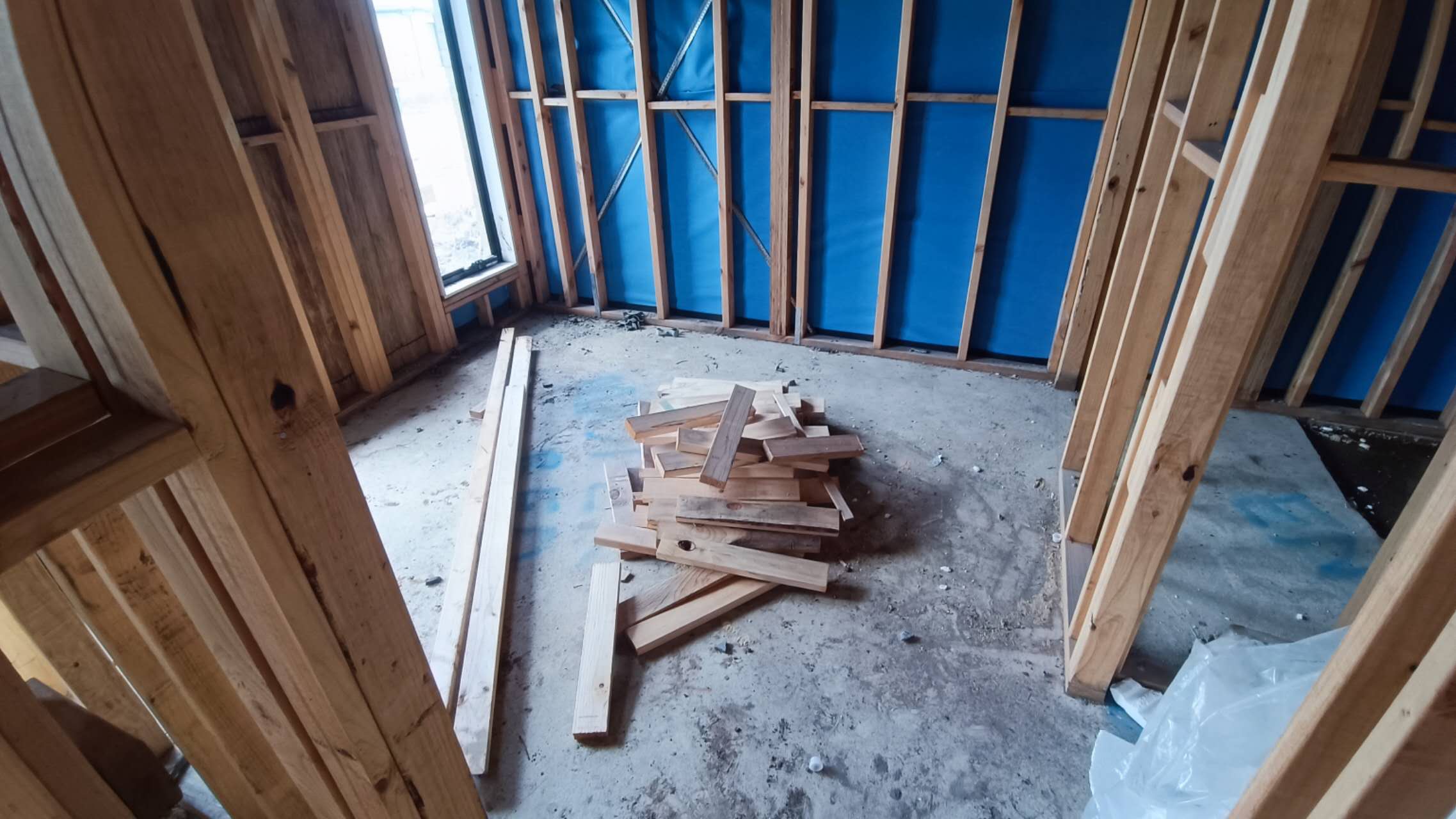 Before Site Clean Up