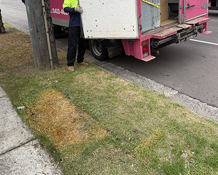 After End of Lease Cleanout 