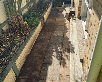 After Green Waste Removal 