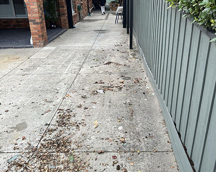 After Backyard Rubbish Collection 