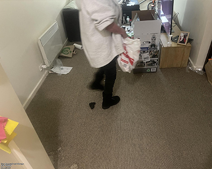 After Cardboard Removals 