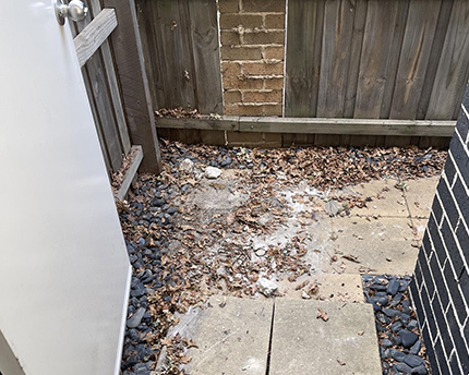After Backyard Rubbish Collection 