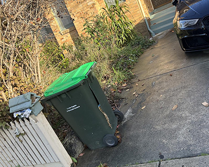 After Shop Rubbish 