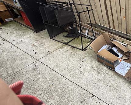 After Cardboard Removals 