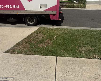 After Cardboard Removals 