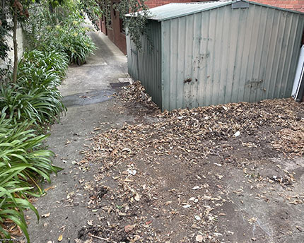 After End of Lease Cleanout 