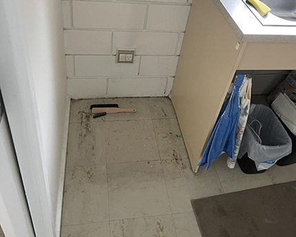 After End of Lease Cleanout 