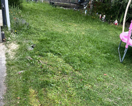 After Backyard Rubbish Collection 