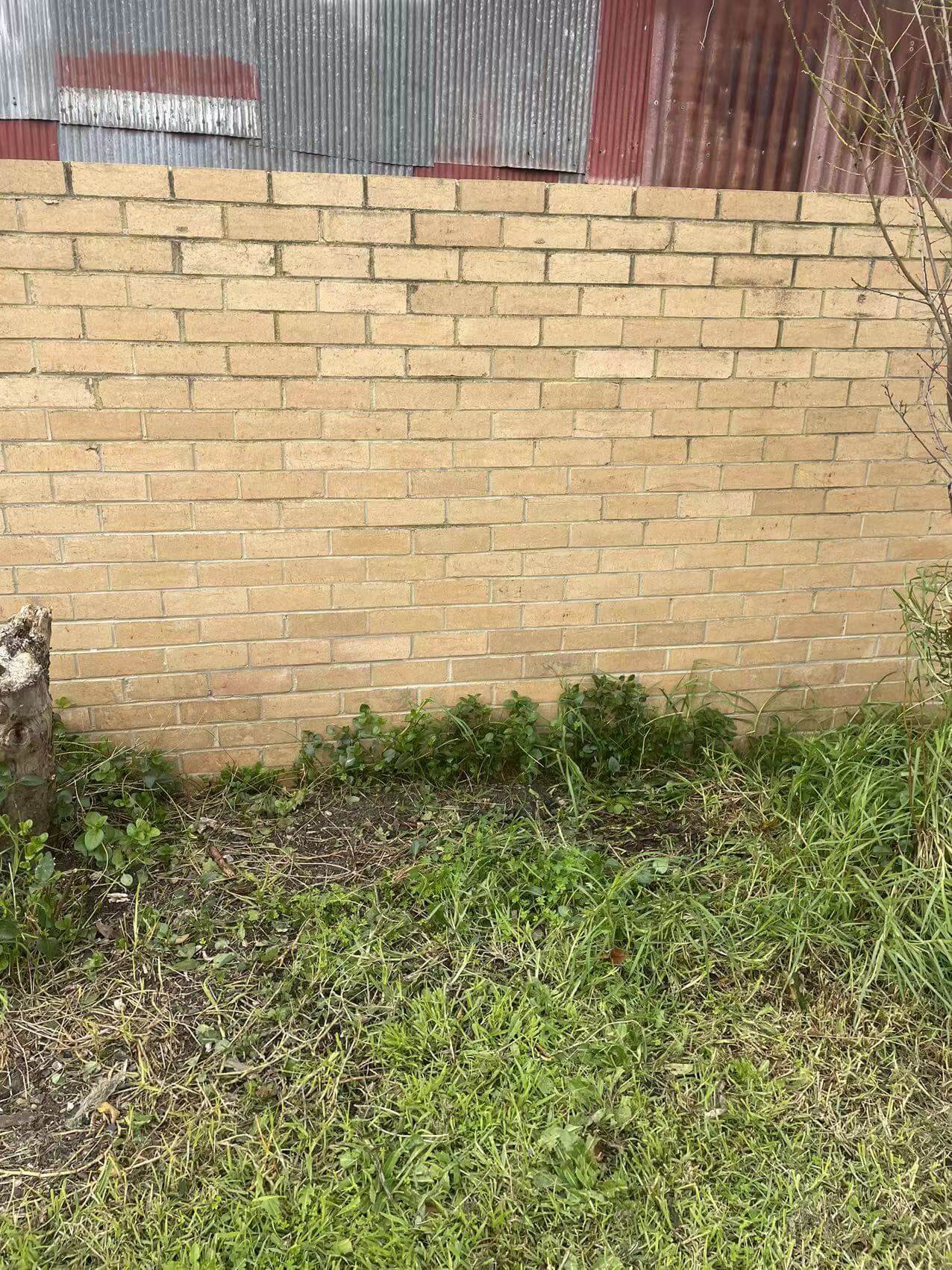 After Backyard Rubbish Collection 