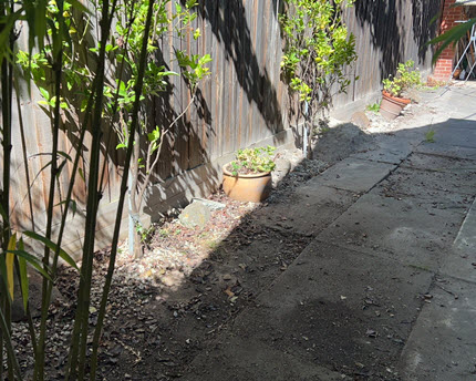 After Backyard Rubbish Collection 