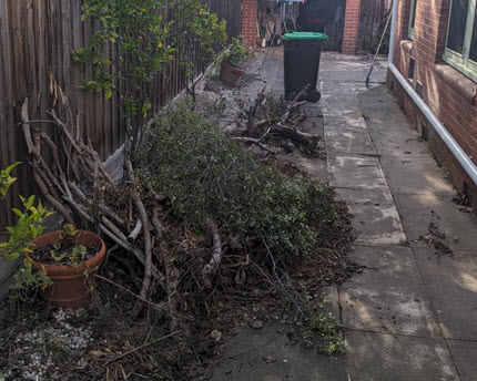 Before Backyard Rubbish Collection