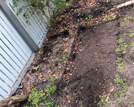 After Site Clean Up 