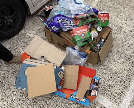After Cardboard Removals 