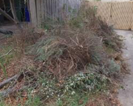 Before Green Waste Removal