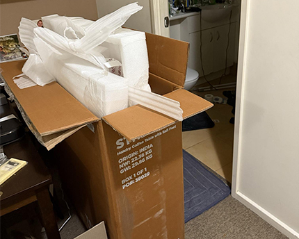 Before Cardboard Removals