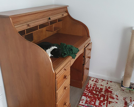 Before Furniture Removals