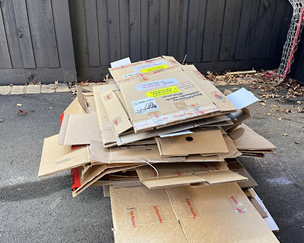 Before Cardboard Removals