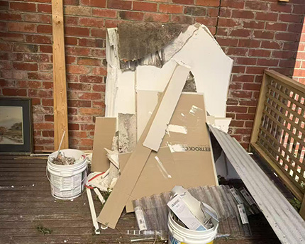 Before Site Clean Up