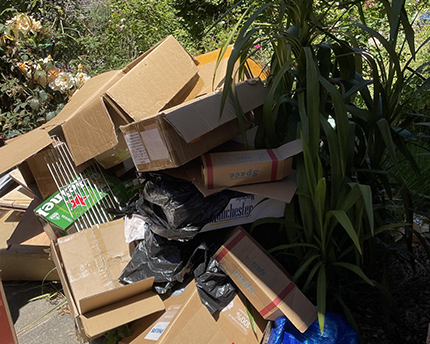 Before Cardboard Removals