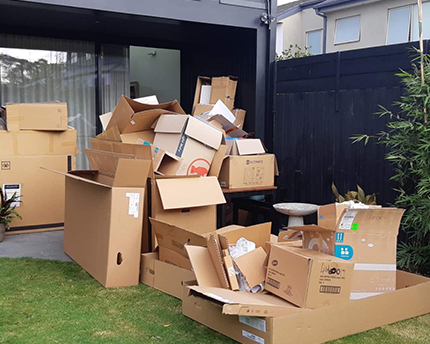 Before Cardboard Removals