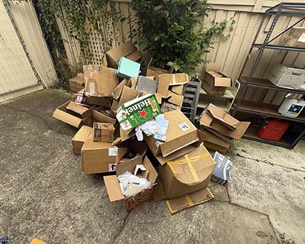 Before Cardboard Removals