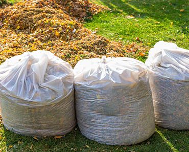 3 Methods of Green Waste Removal to Consider