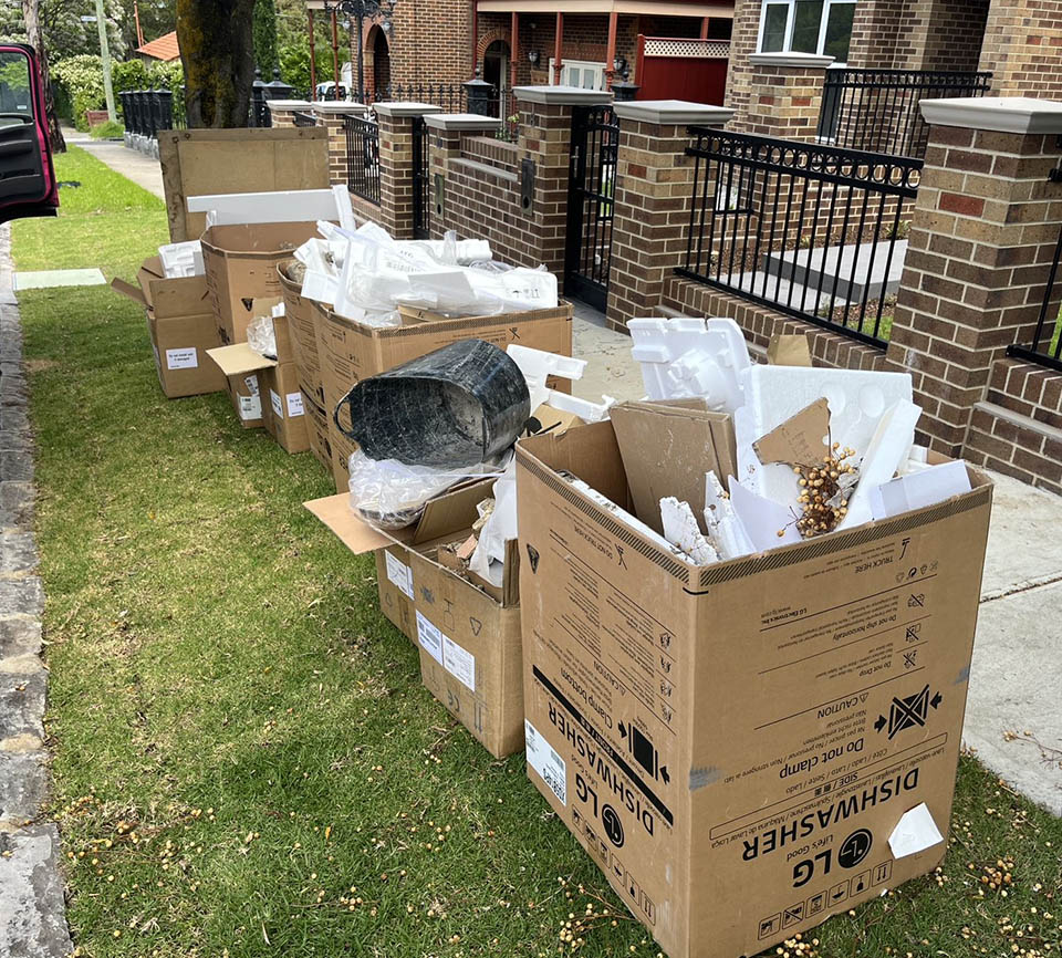 Cardboard & Polystyrene Removal Service