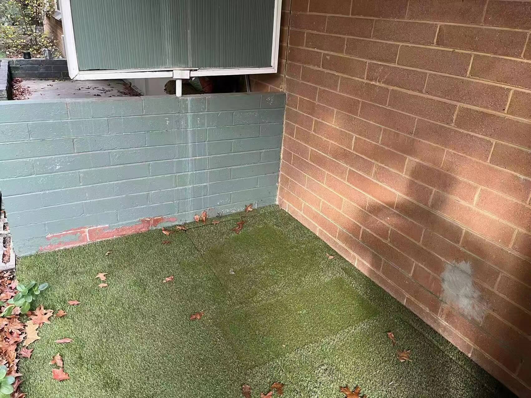 After Cardboard Removals 