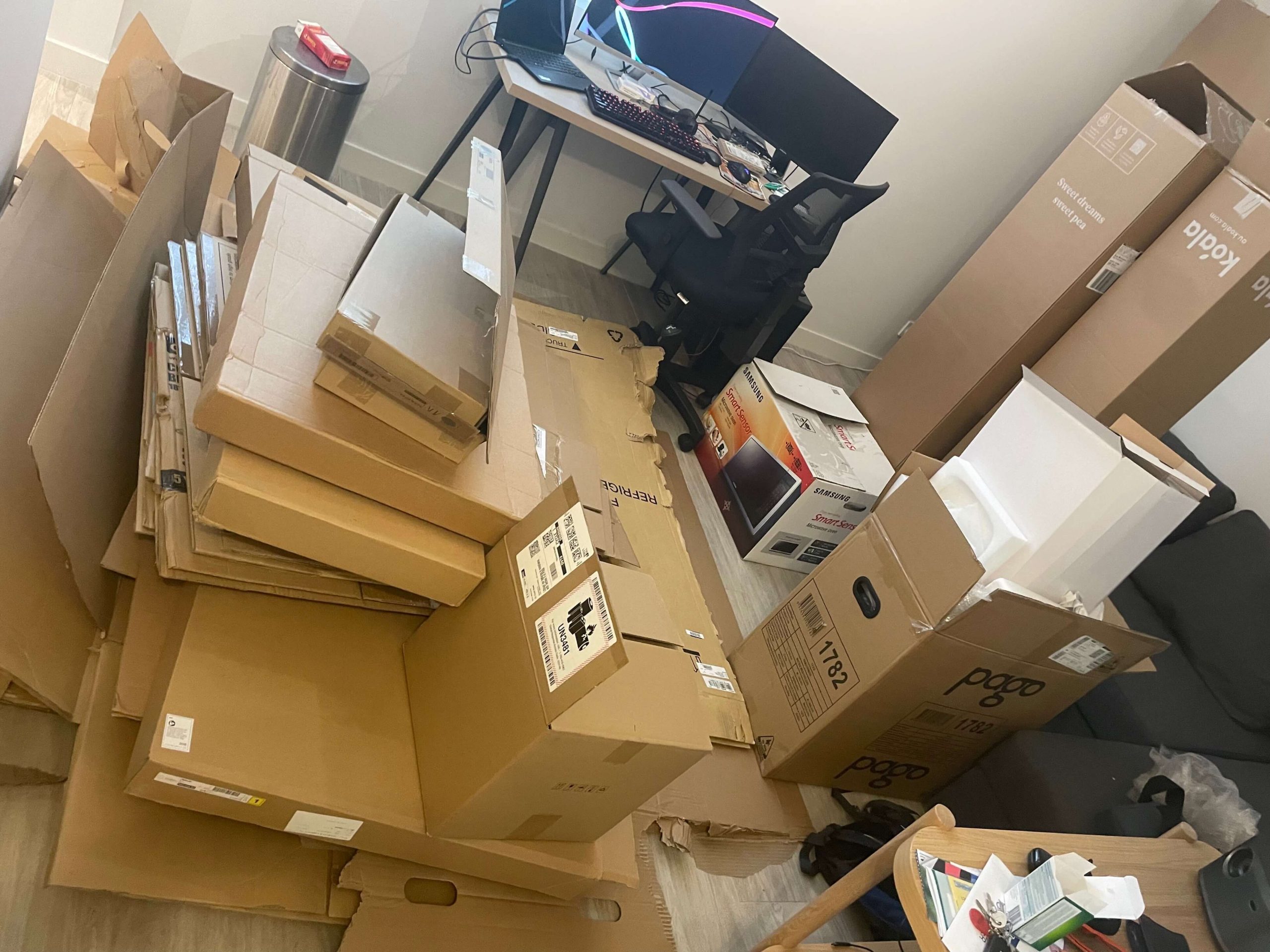 Before Cardboard Removals