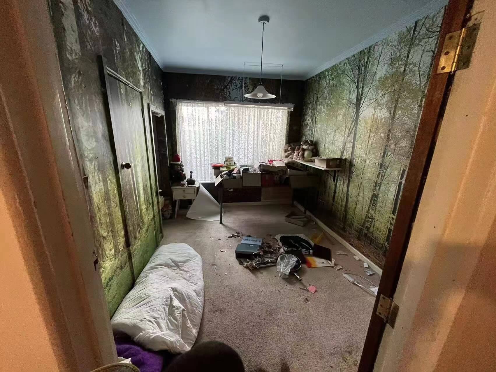 Before Deceased Estate / Property Cleanout