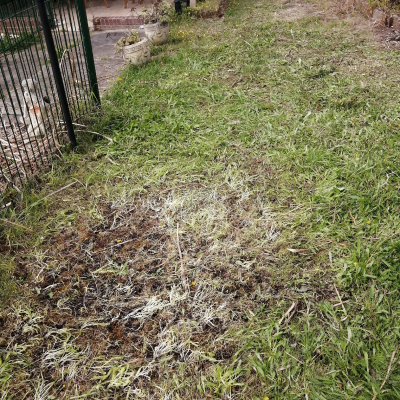 After Backyard Rubbish Collection 