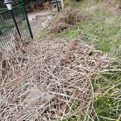 Before Backyard Rubbish Collection