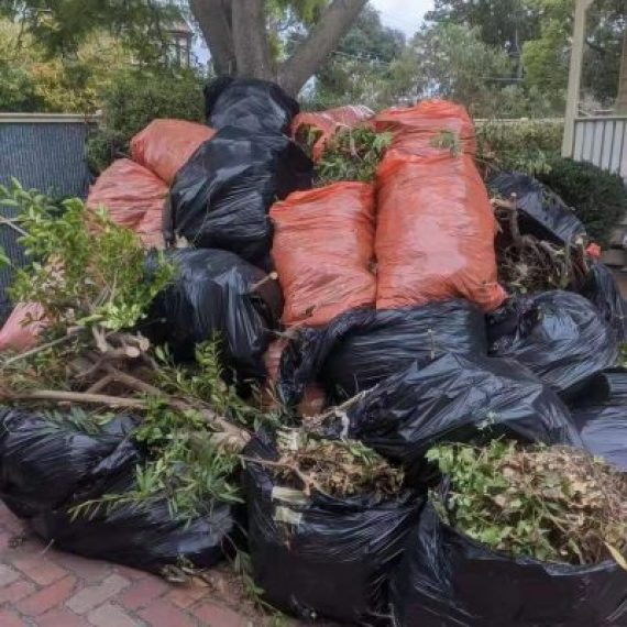 Holistic Junk Removal Service