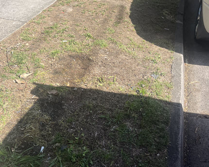 After Hard Rubbish 