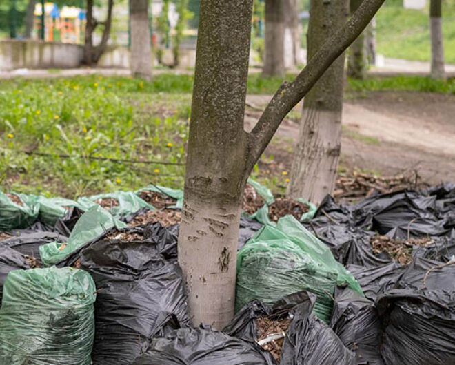 Garden Rubbish Removal