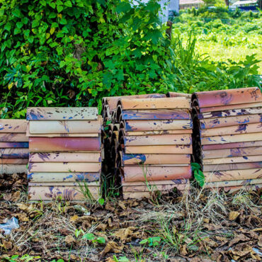 Backyard Rubbish Collection