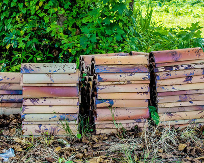 Backyard Rubbish Removal & Clean Up