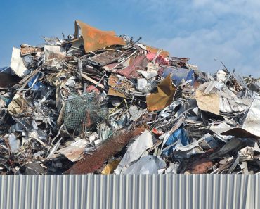 The Environmental Impact of Improper Waste Disposal (And How to Avoid It)