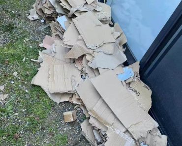 4 Benefits of Professional Junk Removal