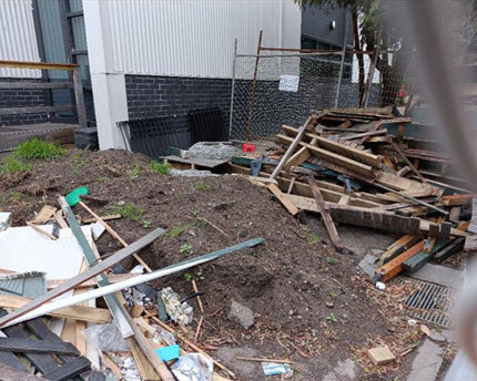 Before Site Clean Up
