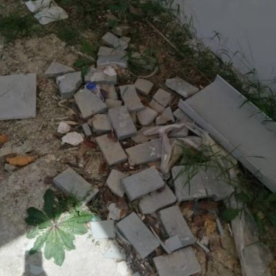 Before Site Clean Up