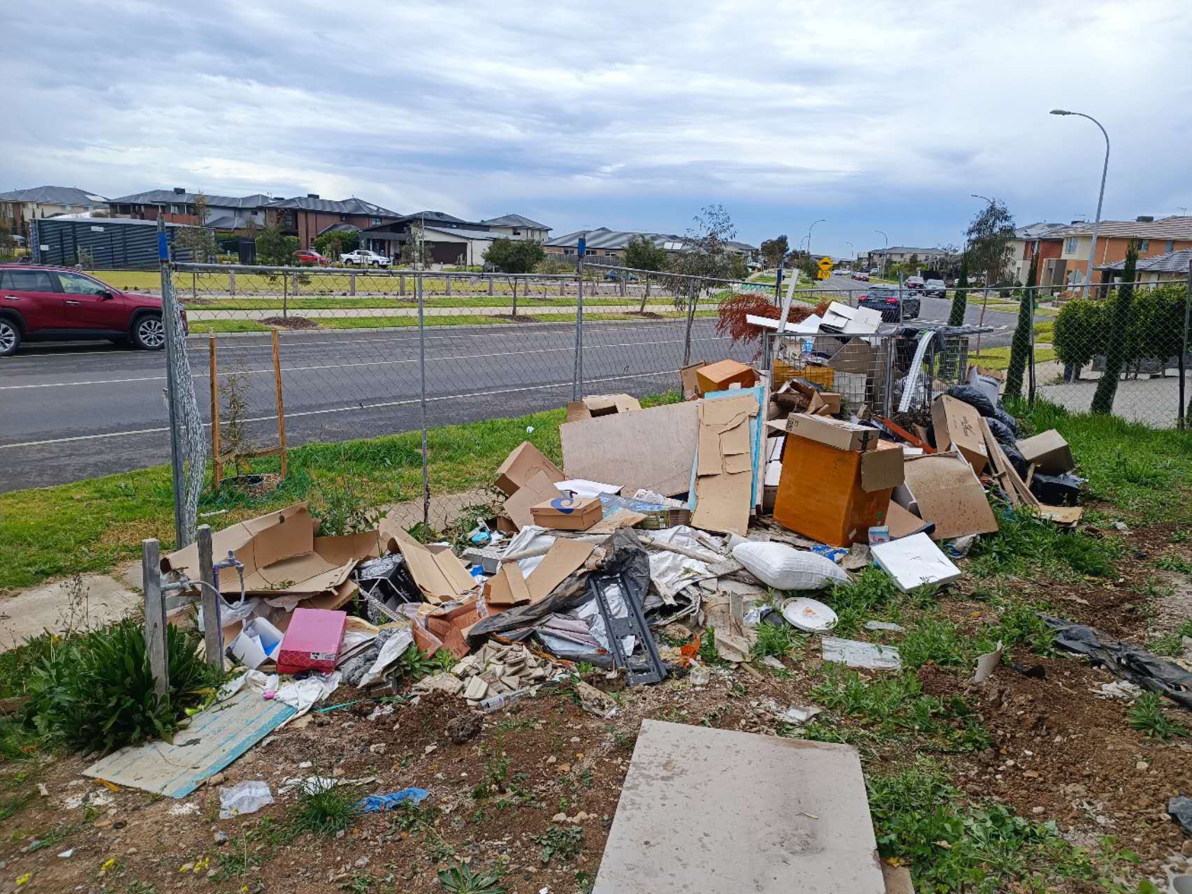 Before Site Clean Up