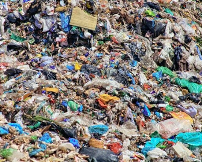 Commercial Rubbish Removal Commercial Rubbish Removal