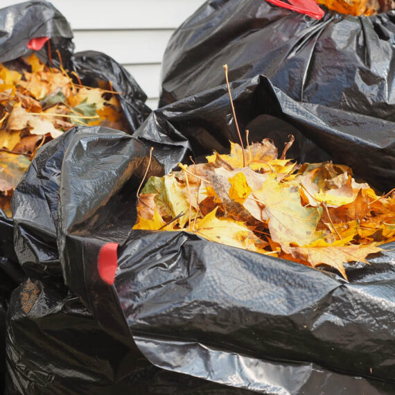 Rubbish Removal Canterbury