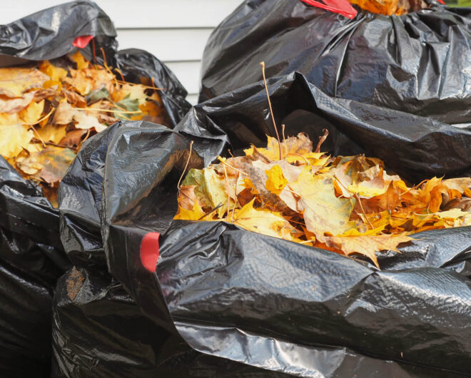 Rubbish Removal Canterbury